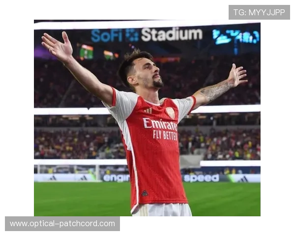 汉堡柏林战维埃拉武什科维奇首发